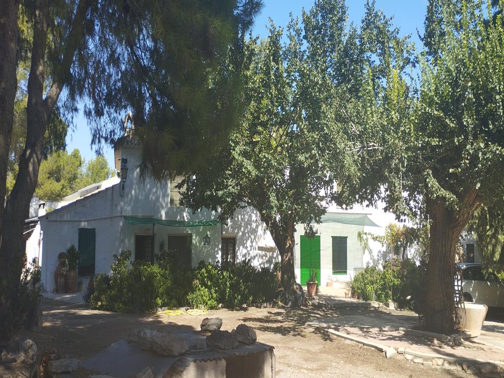 Finca agricola de riego con casa en Jumilla