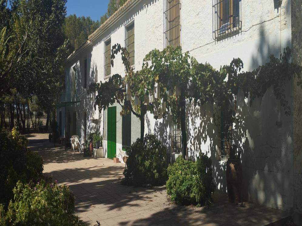 Finca agricola de riego con casa en Jumilla